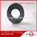 Ferrite magnet for special speaker price